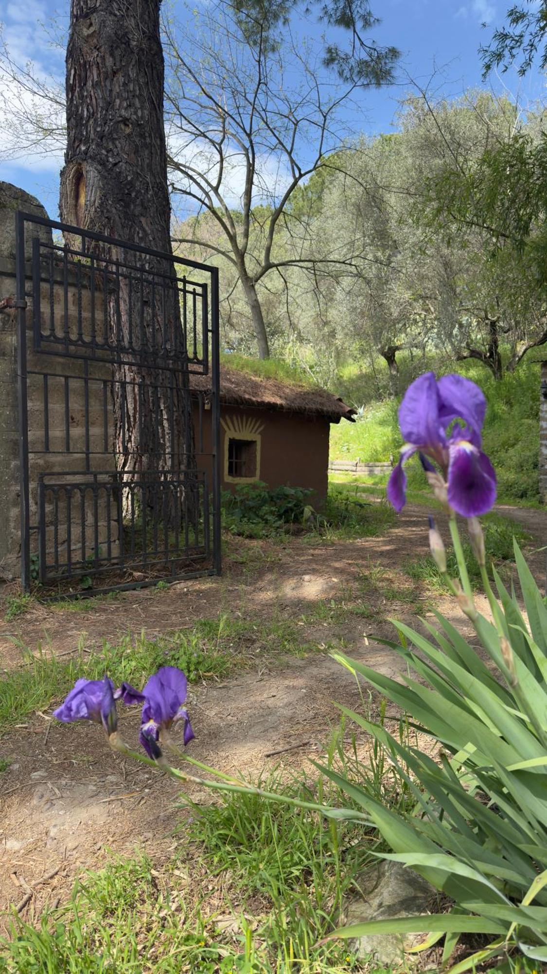 La Casa Del Grillo Villa Viterbo Ngoại thất bức ảnh
