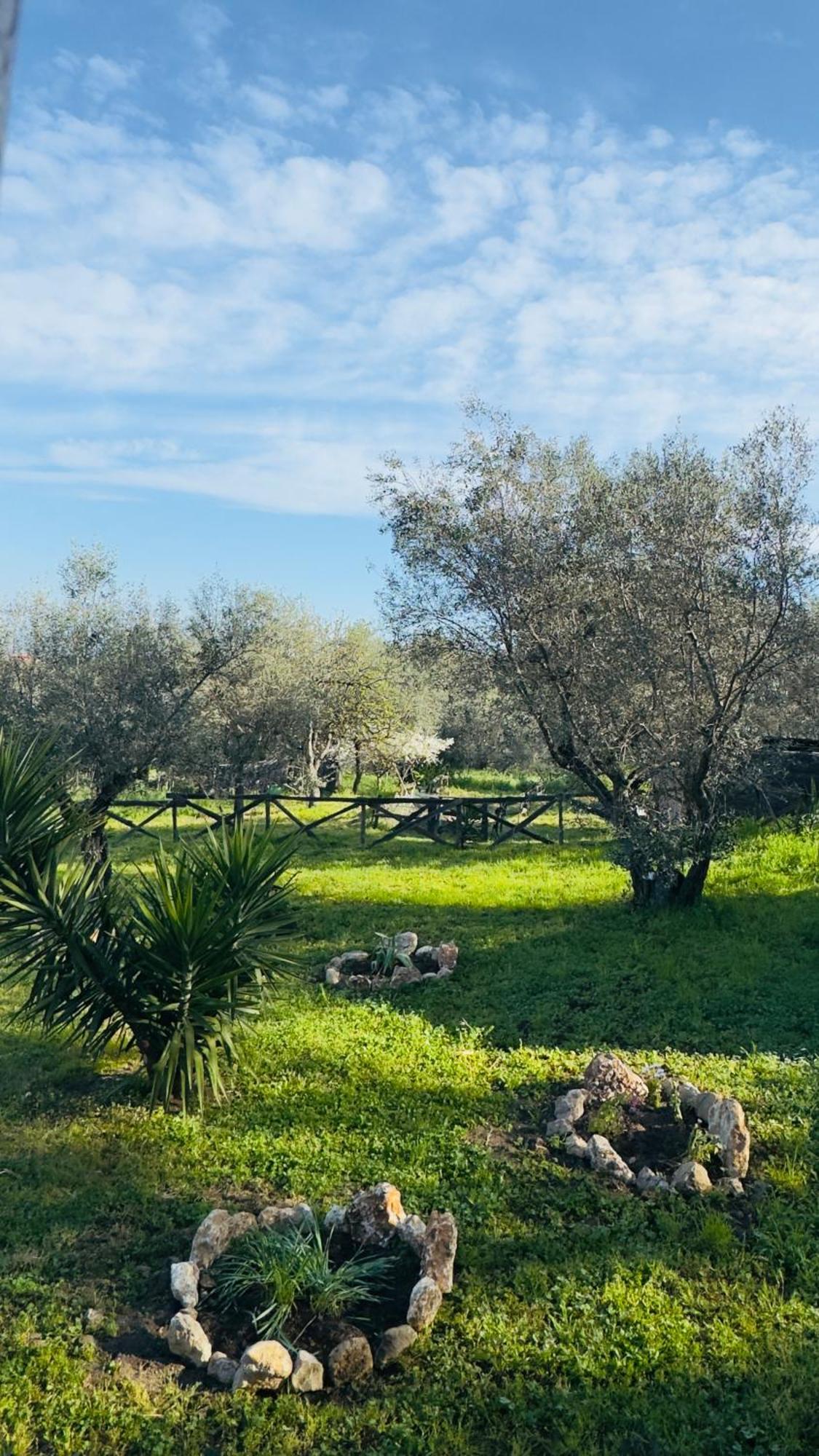 La Casa Del Grillo Villa Viterbo Ngoại thất bức ảnh